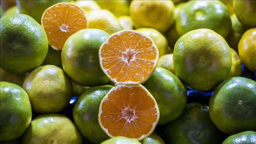 Kışın tüketilmesi gereken 10 sebze ve meyve - Resim: 14