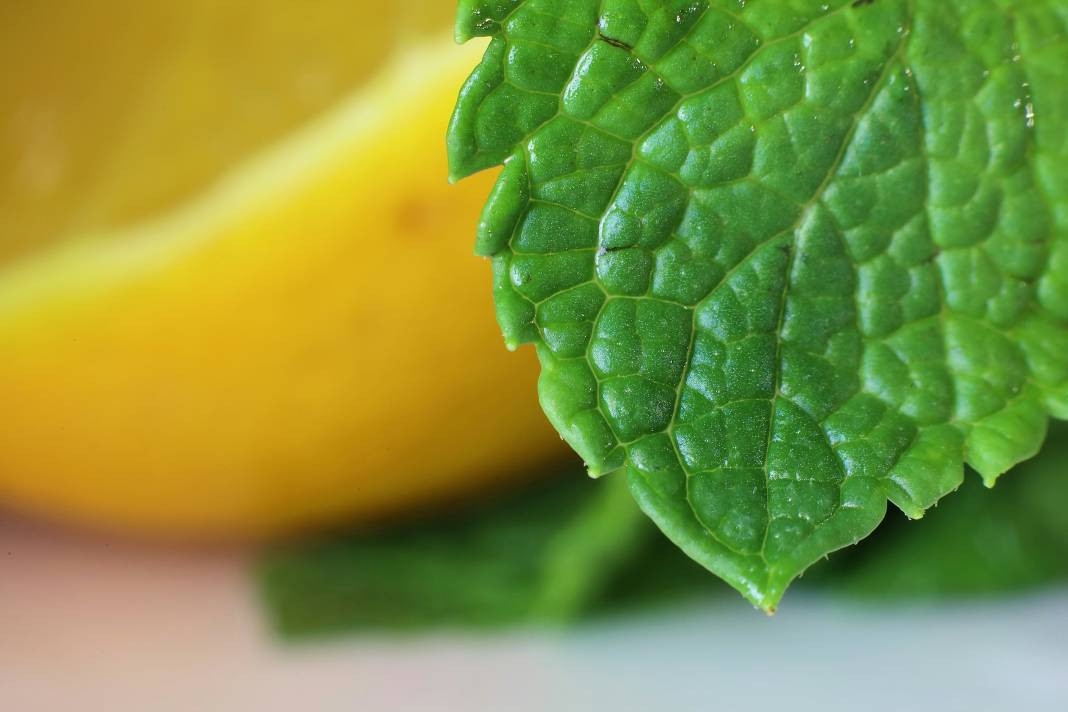 Nane yemeden önce bilmeniz gereken 25 gerçek - Resim: 2