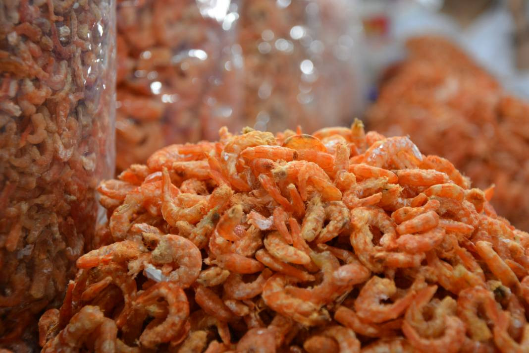 Karidesler hakkında 25 gerçek - Resim: 19