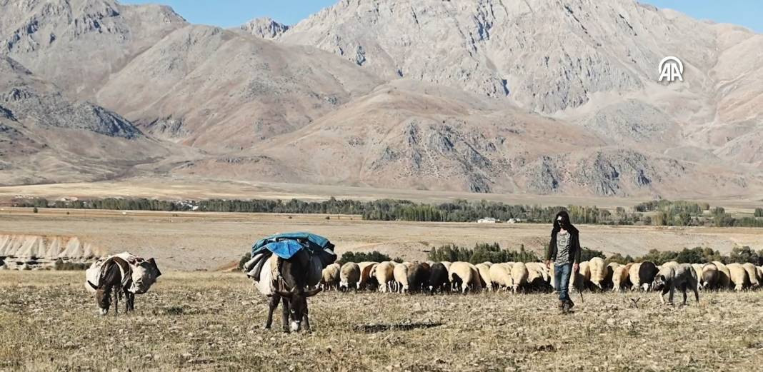 Göçerlerin kurt ve ayı tehlikesi altında zorlu yolculuğu - Resim: 8