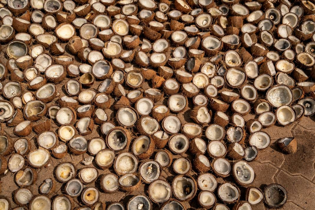 Hindistan cevizi yemeden önce bilmeniz gereken 25 gerçek - Resim: 6