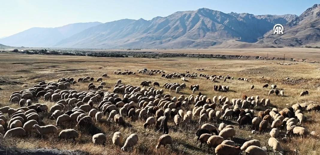 Göçerlerin kurt ve ayı tehlikesi altında zorlu yolculuğu - Resim: 11