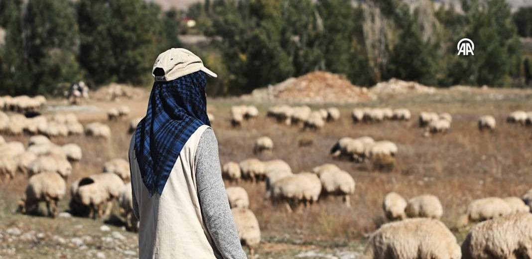 Göçerlerin kurt ve ayı tehlikesi altında zorlu yolculuğu - Resim: 16