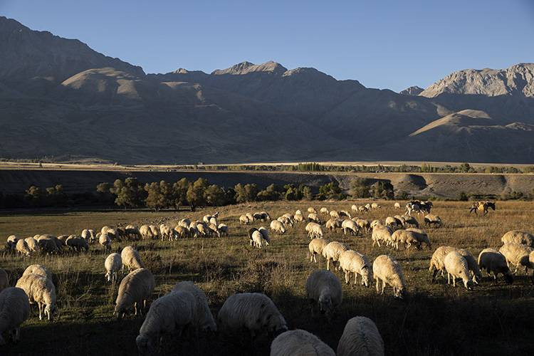 Göçerlerin kurt ve ayı tehlikesi altında zorlu yolculuğu - Resim: 5