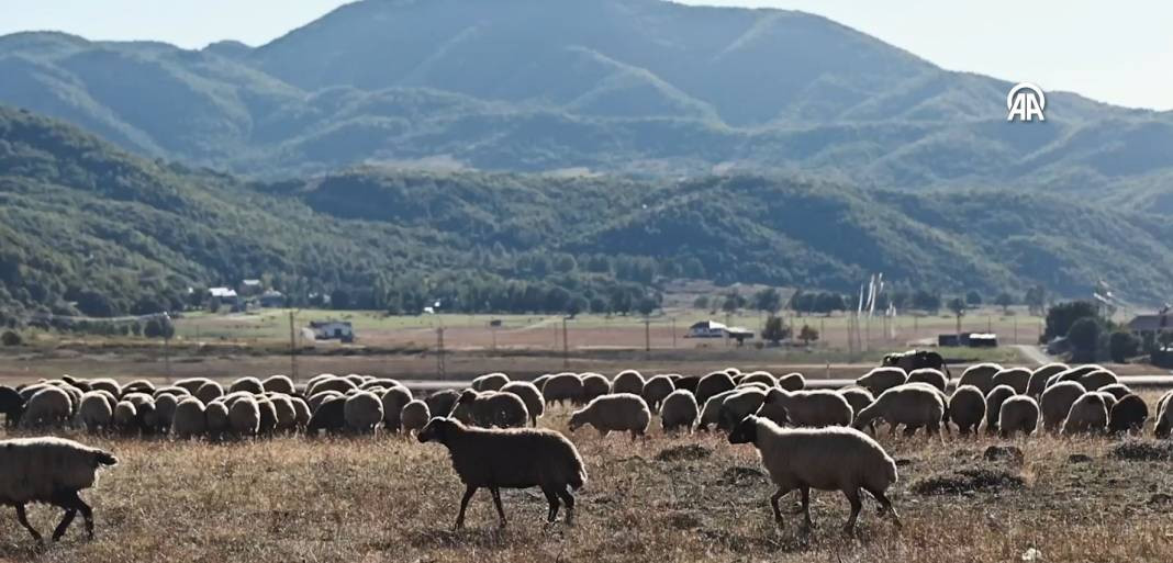 Göçerlerin kurt ve ayı tehlikesi altında zorlu yolculuğu - Resim: 9