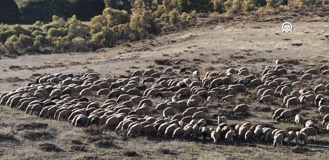 Göçerlerin kurt ve ayı tehlikesi altında zorlu yolculuğu - Resim: 7