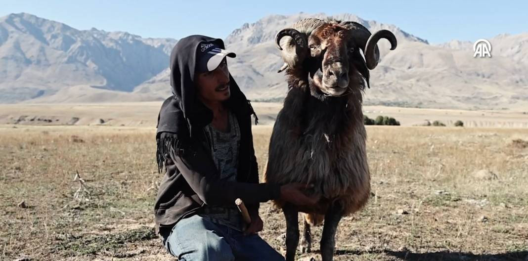Göçerlerin kurt ve ayı tehlikesi altında zorlu yolculuğu - Resim: 13