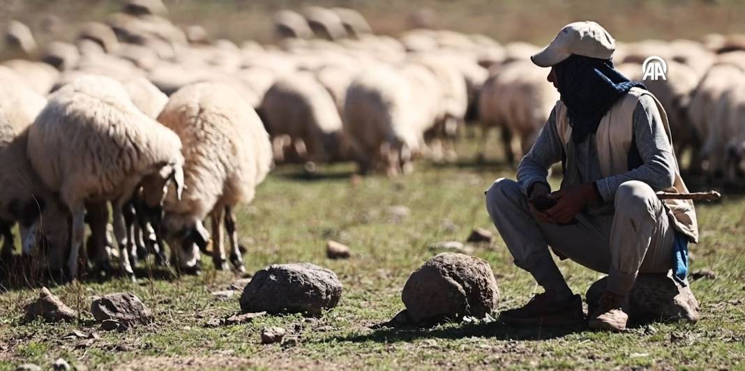 Göçerlerin kurt ve ayı tehlikesi altında zorlu yolculuğu - Resim: 15