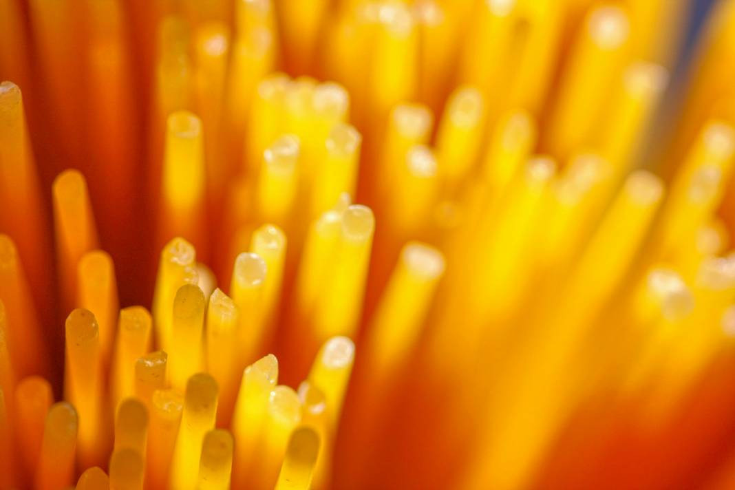 Spagetti hakkında bilmeniz gereken 25 gerçek - Resim: 3