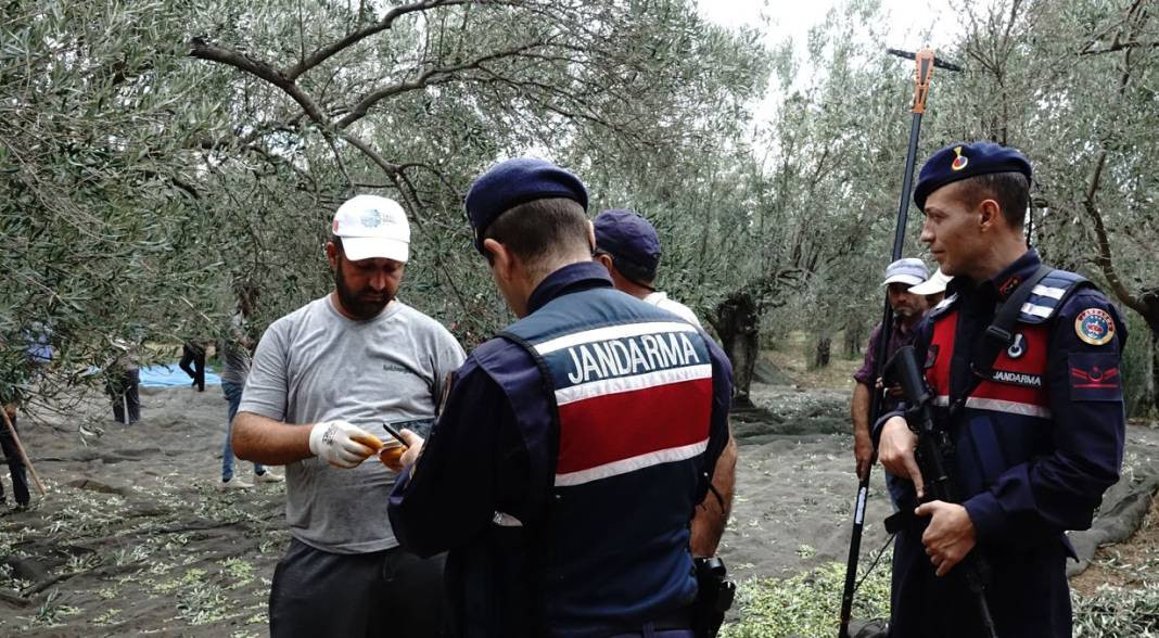 Jandarmadan gece gündüz zeytin nöbeti. Havadan karadan denetliyorlar - Resim: 4