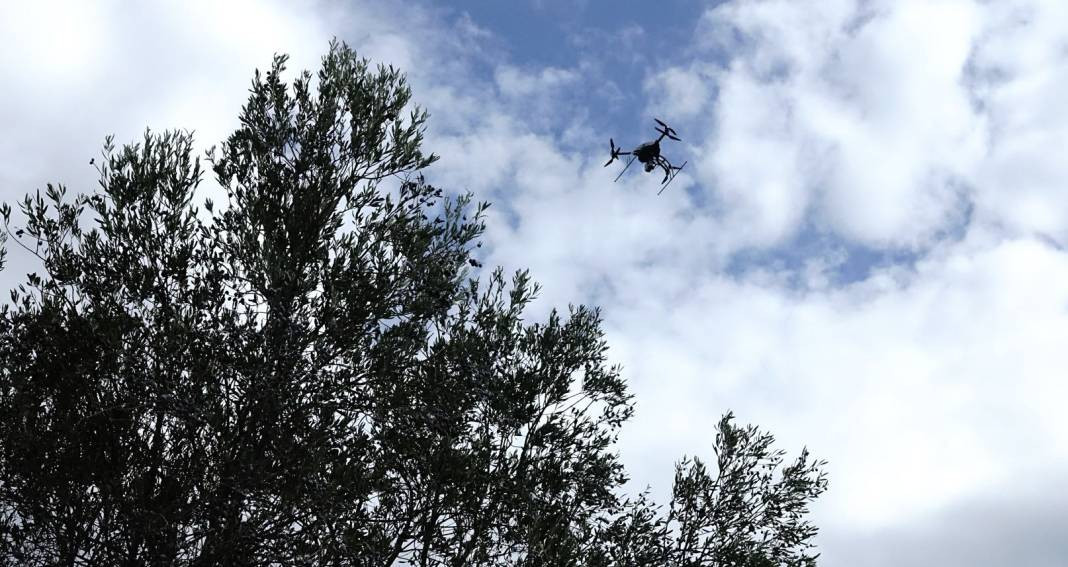 Jandarmadan gece gündüz zeytin nöbeti. Havadan karadan denetliyorlar - Resim: 10