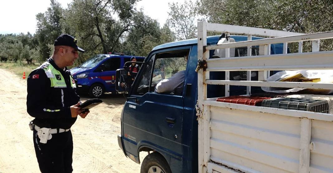 Jandarmadan gece gündüz zeytin nöbeti. Havadan karadan denetliyorlar - Resim: 13