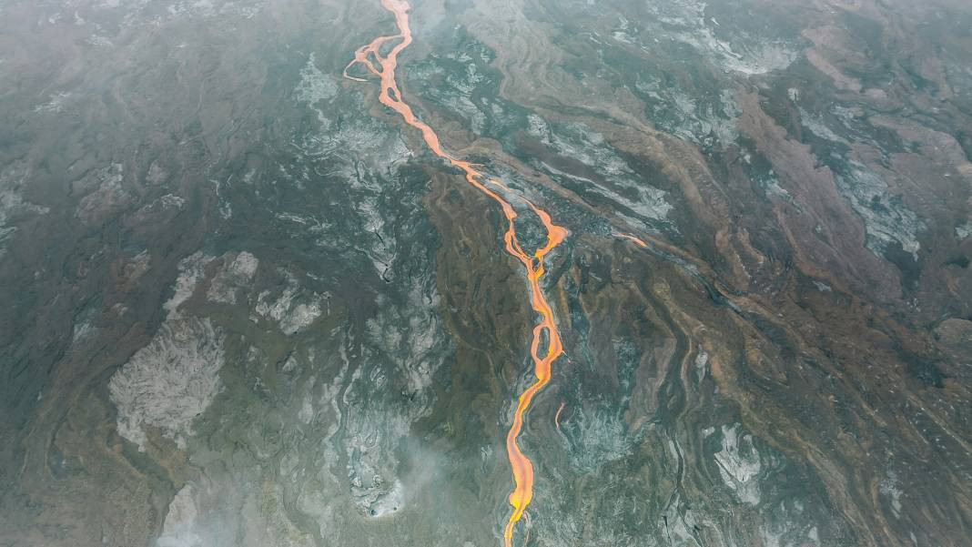 Lavlar hakkında bilmediğiniz gerçekler - Resim: 38