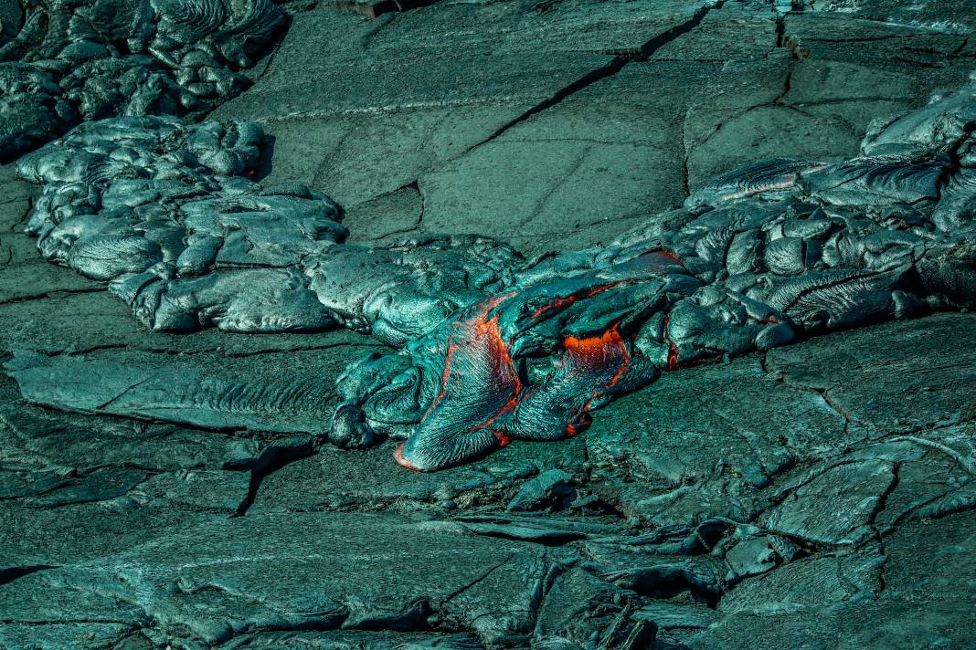 Lavlar hakkında bilmediğiniz gerçekler - Resim: 23