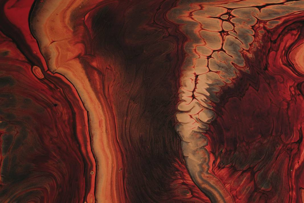 Lavlar hakkında bilmediğiniz gerçekler - Resim: 14