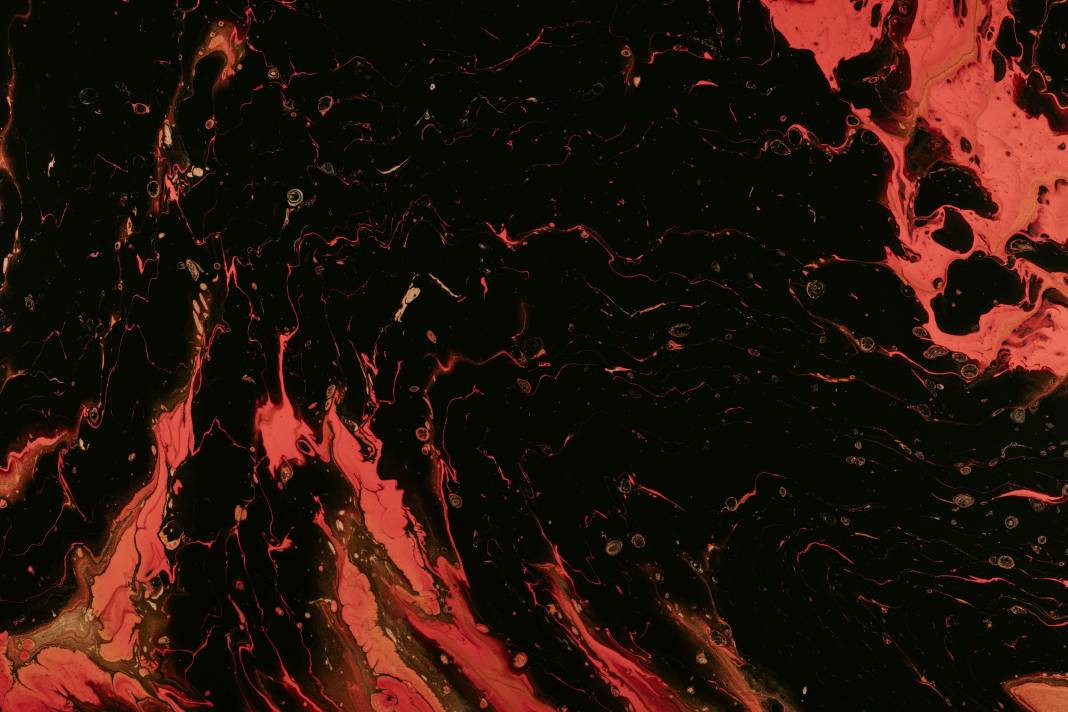 Lavlar hakkında bilmediğiniz gerçekler - Resim: 16