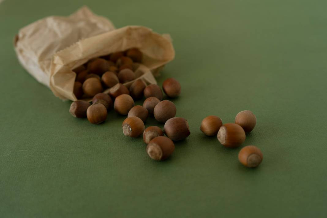 Fındık yemeden önce bilmeniz gereken gerçekler - Resim: 13