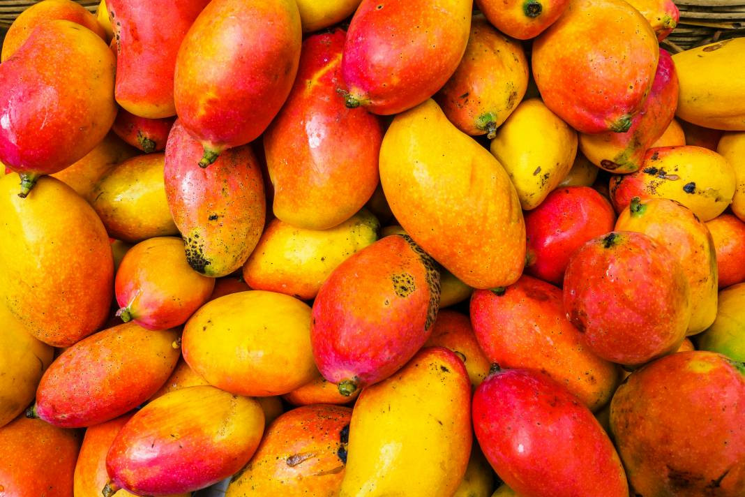 Mango hakkında bilmeniz gereken 25 gerçek - Resim: 24