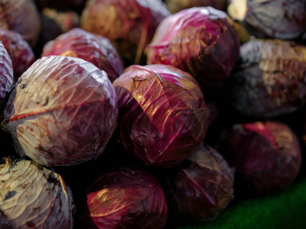 Lahana hakkında bilmediğiniz 25 gerçek - Resim: 14