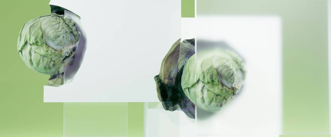 Lahana hakkında bilmediğiniz 25 gerçek - Resim: 16