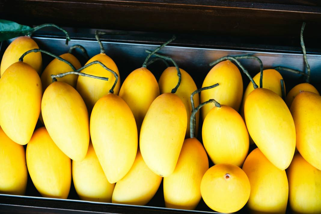 Mango hakkında bilmeniz gereken 25 gerçek - Resim: 9