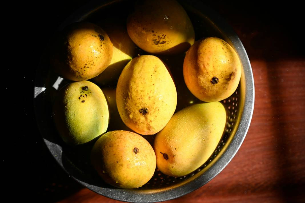 Mango hakkında bilmeniz gereken 25 gerçek - Resim: 5
