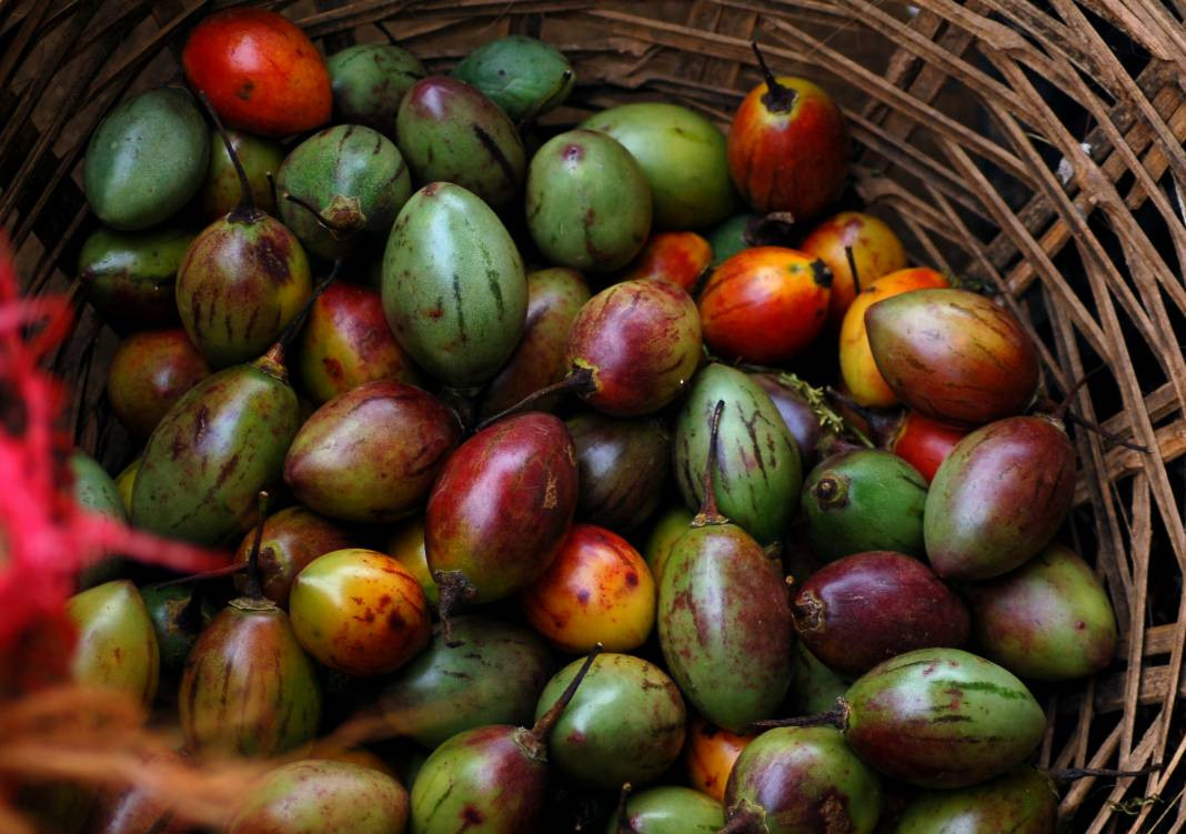 Mango hakkında bilmeniz gereken 25 gerçek - Resim: 3