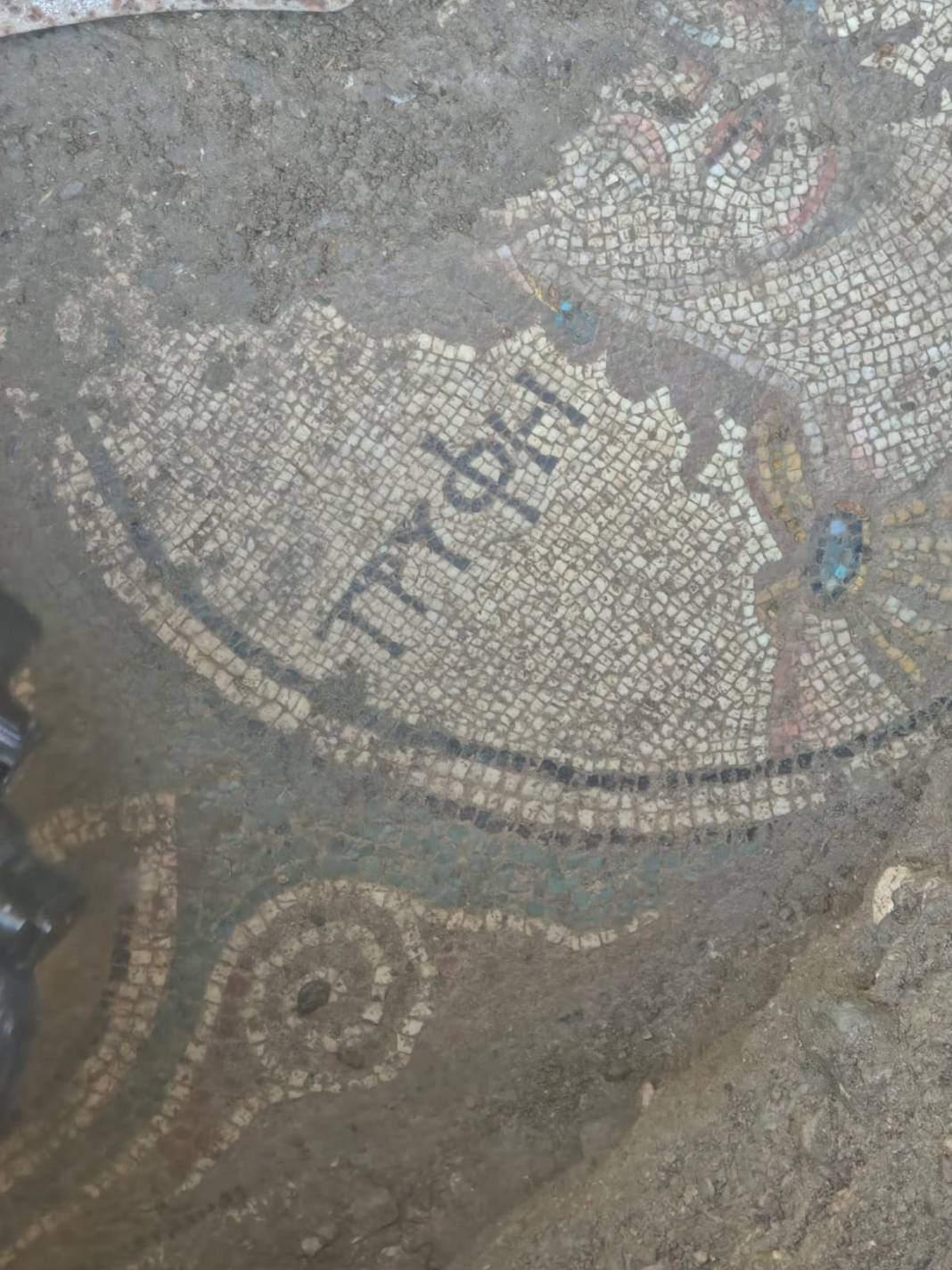 İki bin yıllık Roma mozaği kaçak kazıda ortaya çıktı - Resim: 6