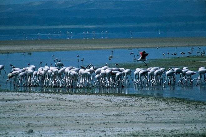 Türkiye'nin gözbebeği göl kuruyor sandalların yerini araçlar aldı. O eski halinden eser yok şimdi - Resim: 1