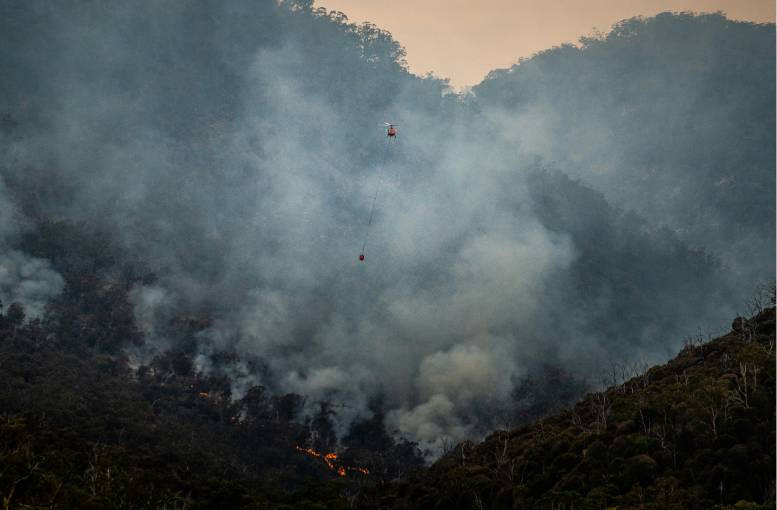 Türkiye'nin en büyük orman yangınları: Değişen tarihler, iktidarlar, cevapsız kalan sorular - Resim: 1