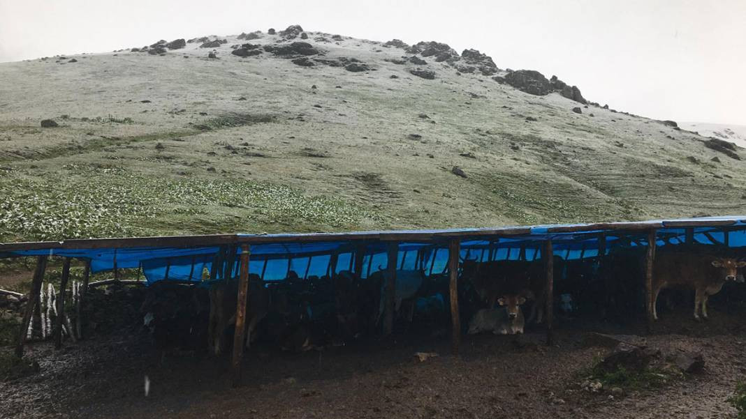 Trabzon, Rize, Erzurum... Yaz ortasında beyaza büründü - Resim: 3