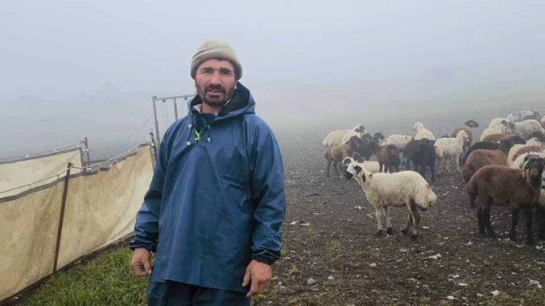 Trabzon, Rize, Erzurum... Yaz ortasında beyaza büründü - Resim: 5