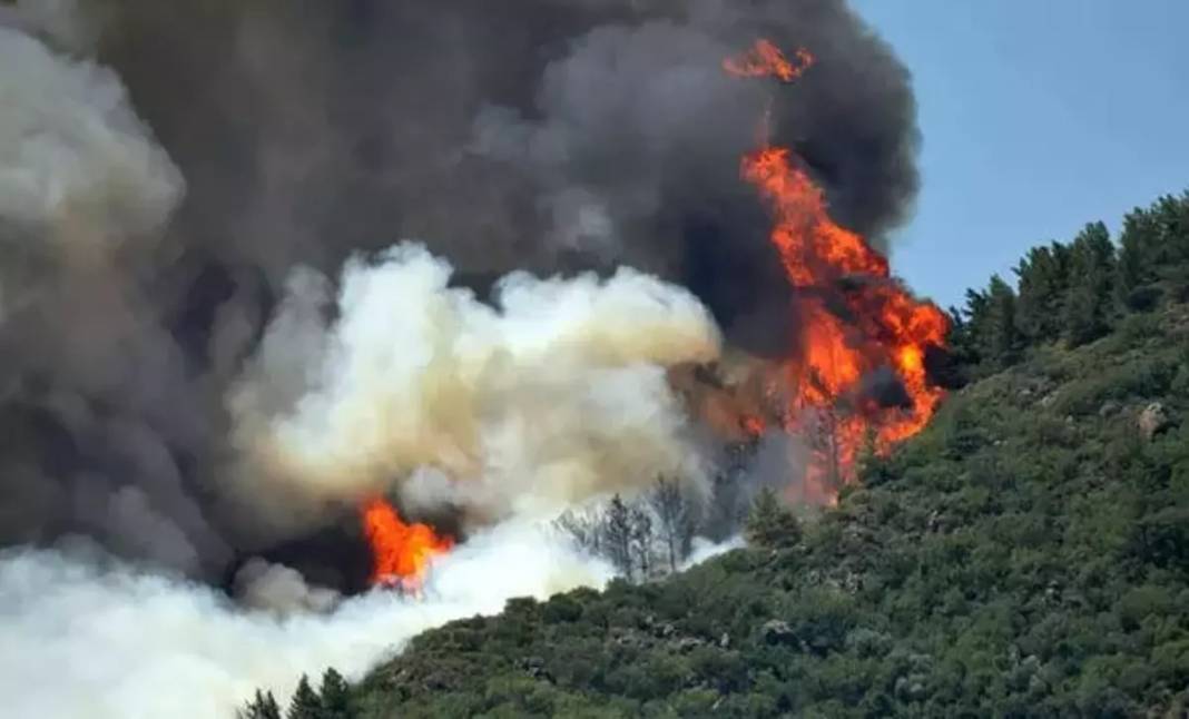 Türkiye'nin en büyük orman yangınları: Değişen tarihler, iktidarlar, cevapsız kalan sorular - Resim: 6