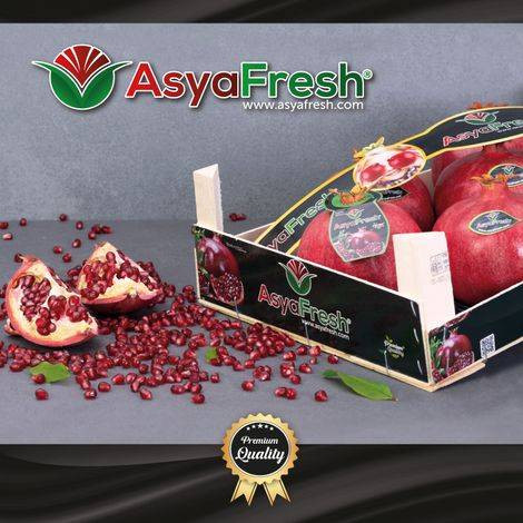 Dünyaya sebze ve meyve ihraç ediyor. Türk gıda devi iflasın eşiğinde - Resim: 3