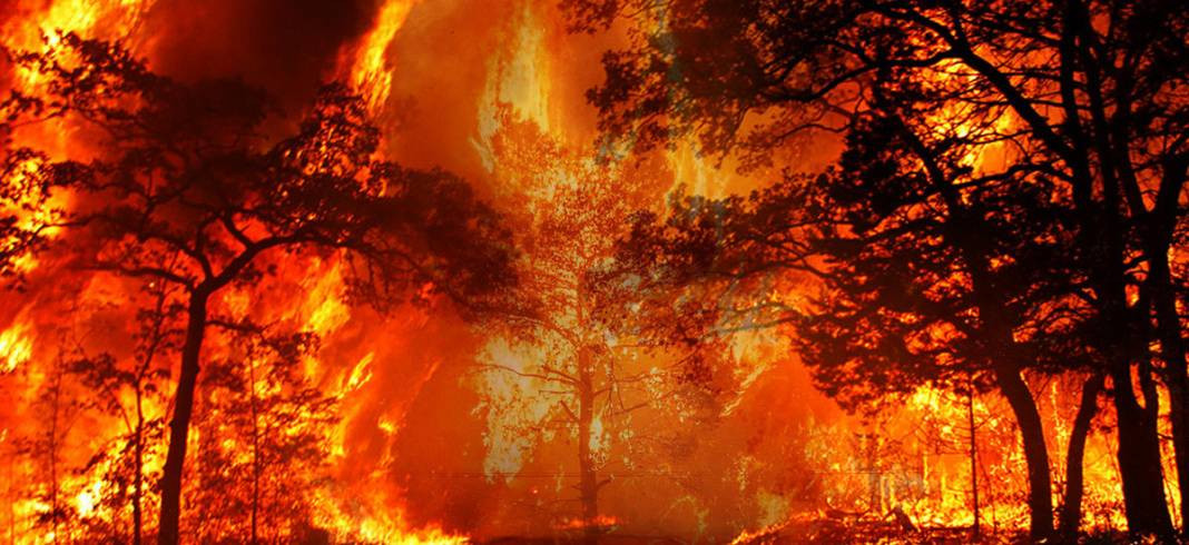 Türkiye'nin en büyük orman yangınları: Değişen tarihler, iktidarlar, cevapsız kalan sorular - Resim: 3