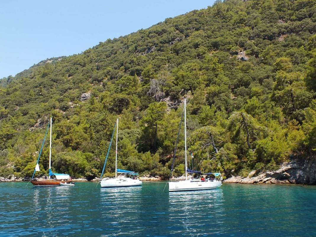 Türkiye'nin saklı cennetleri: Yazın ziyaret edilmesi gereken 15 doğal koy - Resim: 12