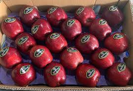 Dünyaya sebze ve meyve ihraç ediyor. Türk gıda devi iflasın eşiğinde - Resim: 1