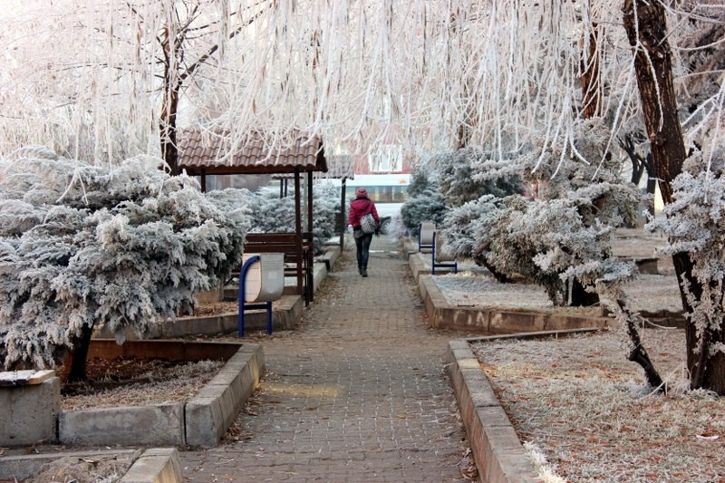 Yozgat'ta soğuk hava - Resim: 3