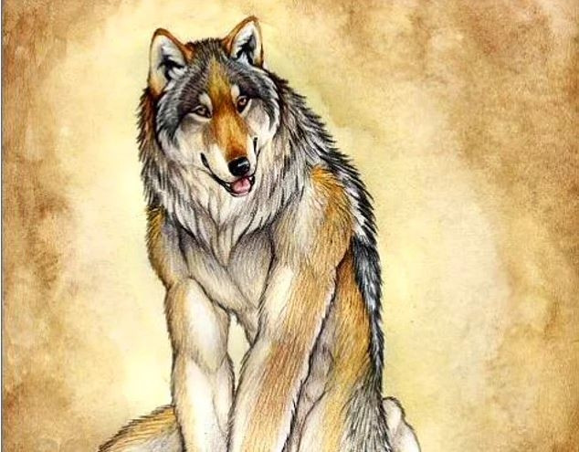 Türkler hakkında bilinmeyen gerçekler - Resim: 12