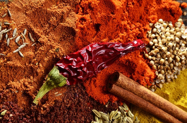 En besleyici 20 besin - Resim: 17