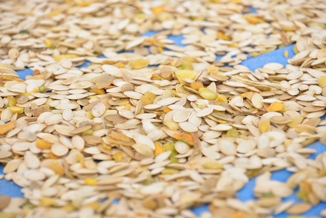 En besleyici 20 besin - Resim: 4