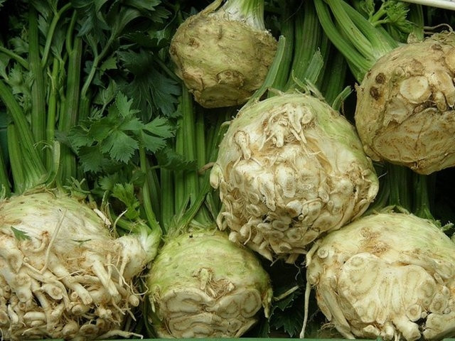 En besleyici 20 besin - Resim: 8