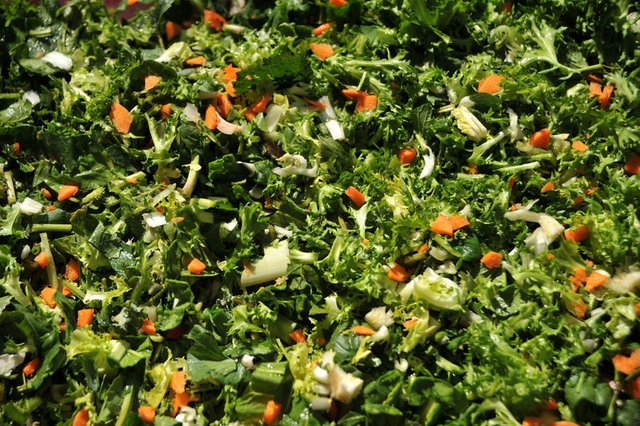 En besleyici 20 besin - Resim: 9