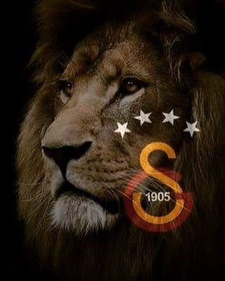 Galatasaray'ın şampiyonluğu ünlüler dünyasında geniş yankı buldu - Resim: 1