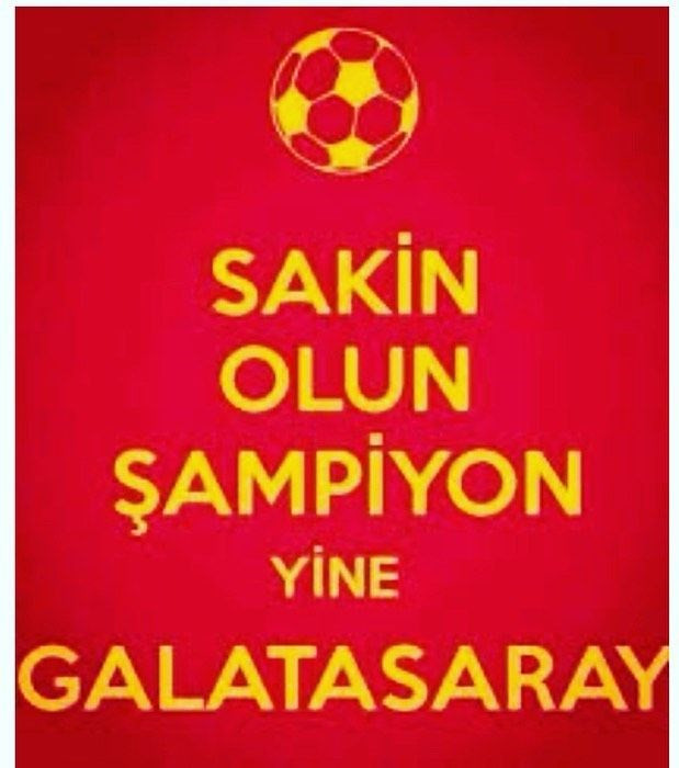 Galatasaray'ın şampiyonluğu ünlüler dünyasında geniş yankı buldu - Resim: 2