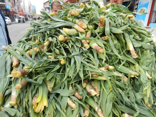 Virüse karşı en etkili yöntem! Vücut direncini artırıyor - Resim: 8