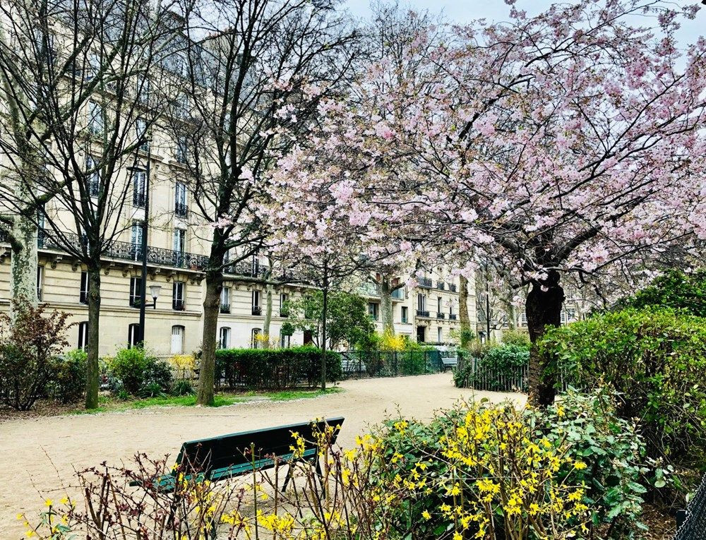 Yaz sıcağı, korona virüsü durduracak mı? - Resim: 3