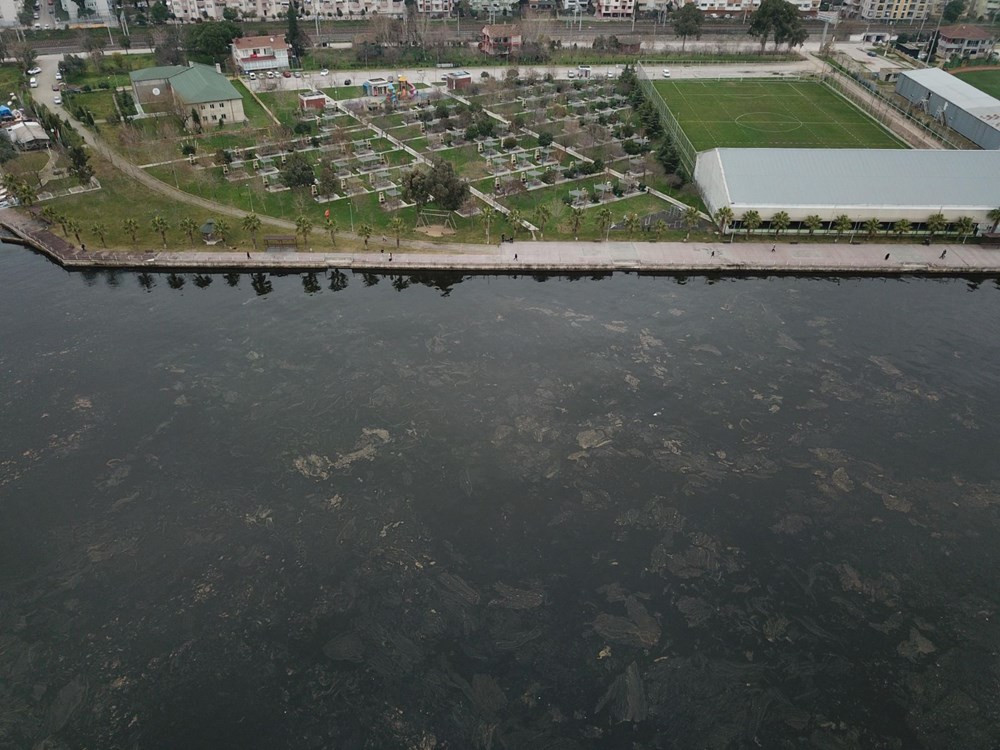 İzmit Körfezi'nde kimyasal kirlilik. Bir kilometreyi buldu - Resim: 7