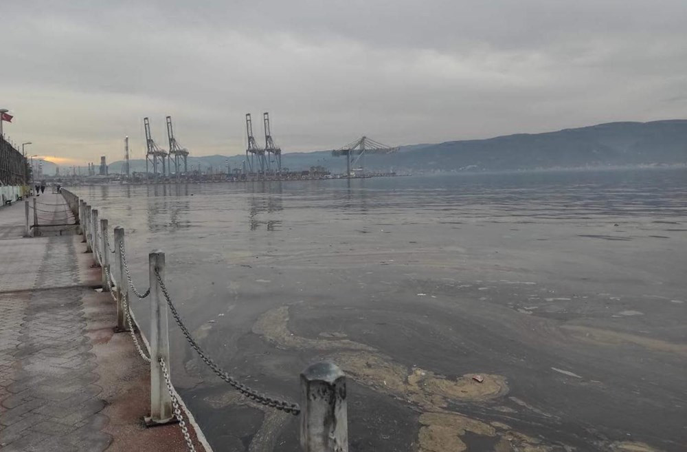 İzmit Körfezi'nde kimyasal kirlilik. Bir kilometreyi buldu - Resim: 2