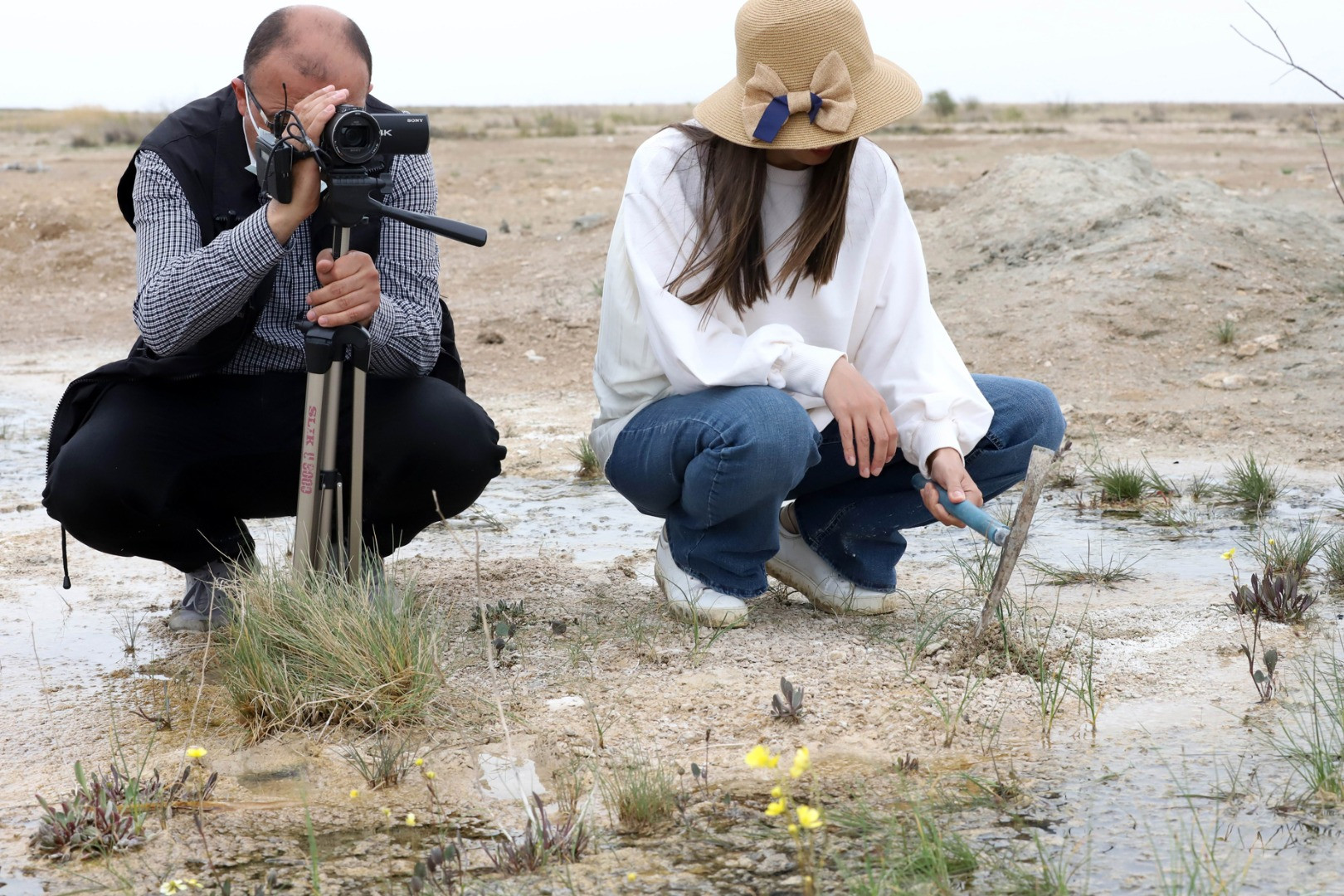 Tuz beğendi ve acı düğü çiçeği açtı. Müjdeli haber geldi - Resim: 4